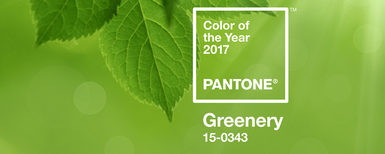 Pantone Color of the Year for 2017 Announced Greenery 15-0343