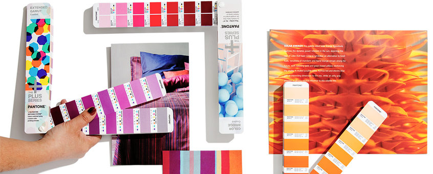 Which Pantone Guide Do You Need?