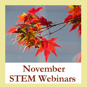 November Education Webinars