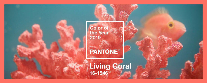 2019 Pantone Color of the Year Announced Living Coral