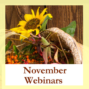 November Education Webinars