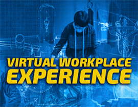 Virtual Workplace Experience 