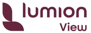 Lumion View