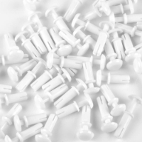Picture of Makeblock Plastic Rivet R4100 - 50 Pack