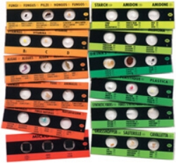 Picture of Micro Slides