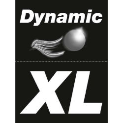 Picture of 152657: Sticker for Dynamic XL
