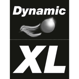 Picture of 152657: Sticker for Dynamic XL