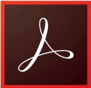 Picture of Adobe Acrobat Pro - Creative Cloud Named License For Non-Profits - Named-User License (1 Year Subscription)